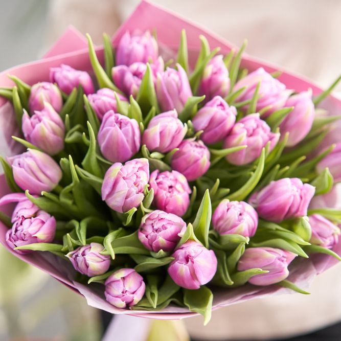 25 fresh tulips 