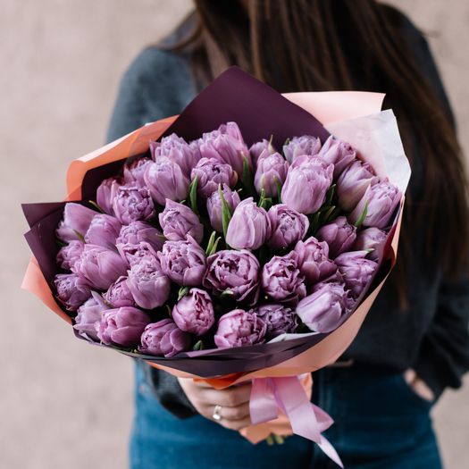 40 Purple Tulips