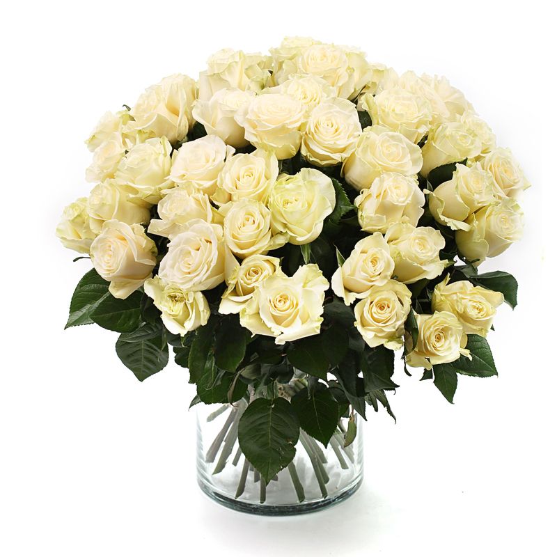 White roses in vase