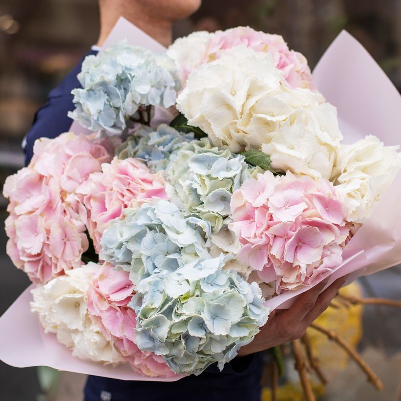 Bouquet of mixed fresh Hydrangea