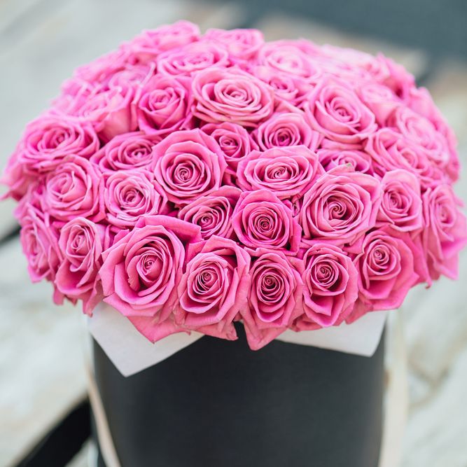 Pink Roses in round box