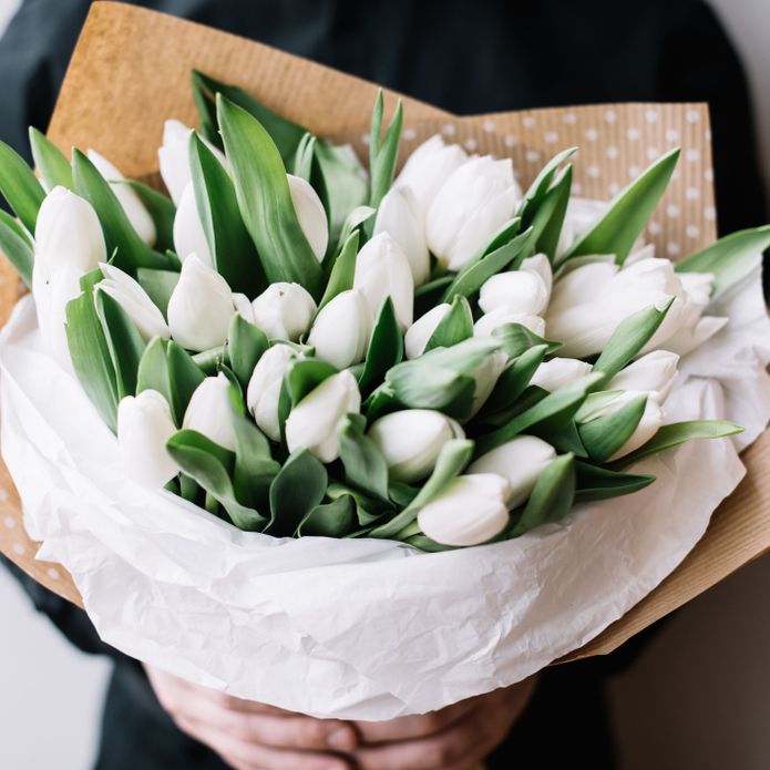 30 White Tulips