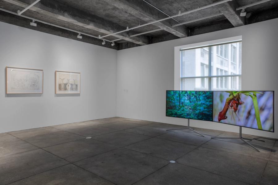 Center for Art, Research and Alliances / CARA
