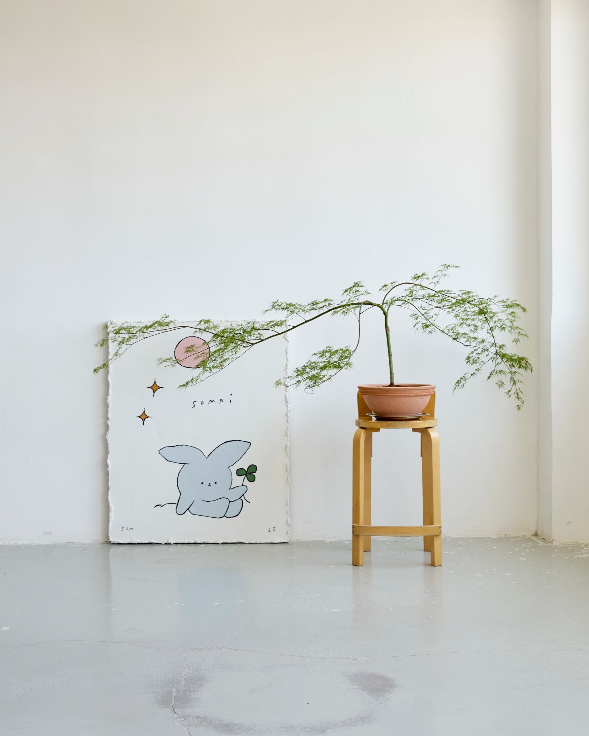 Cartulina_Umbo_web