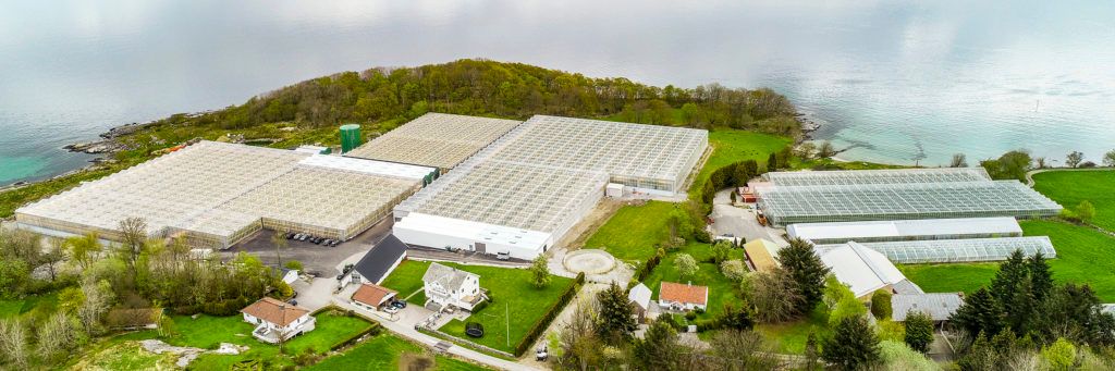 Norges største leverandør av tomater.