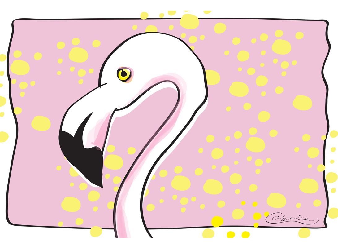 Flamingo