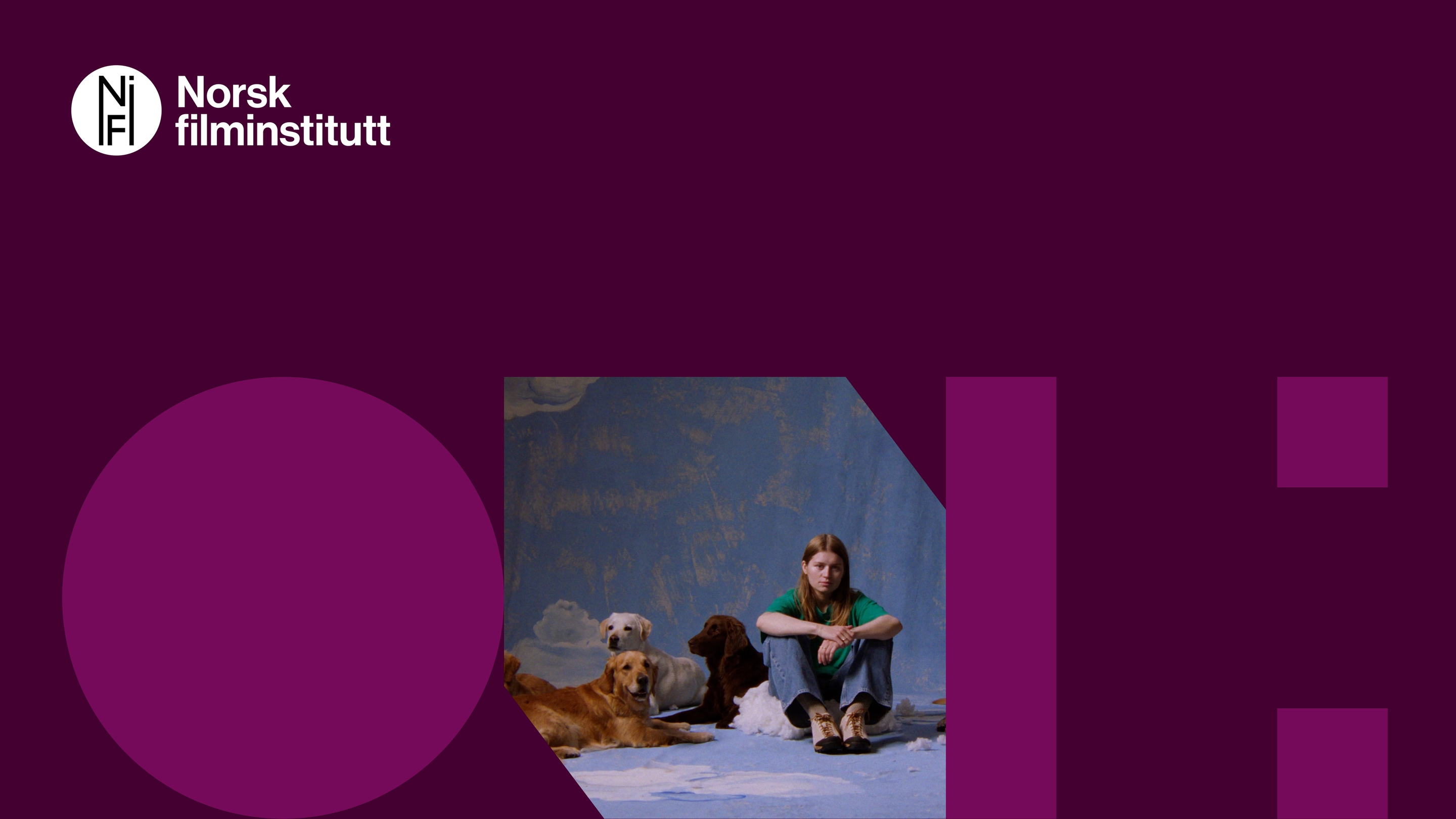 NFI visuell identitet