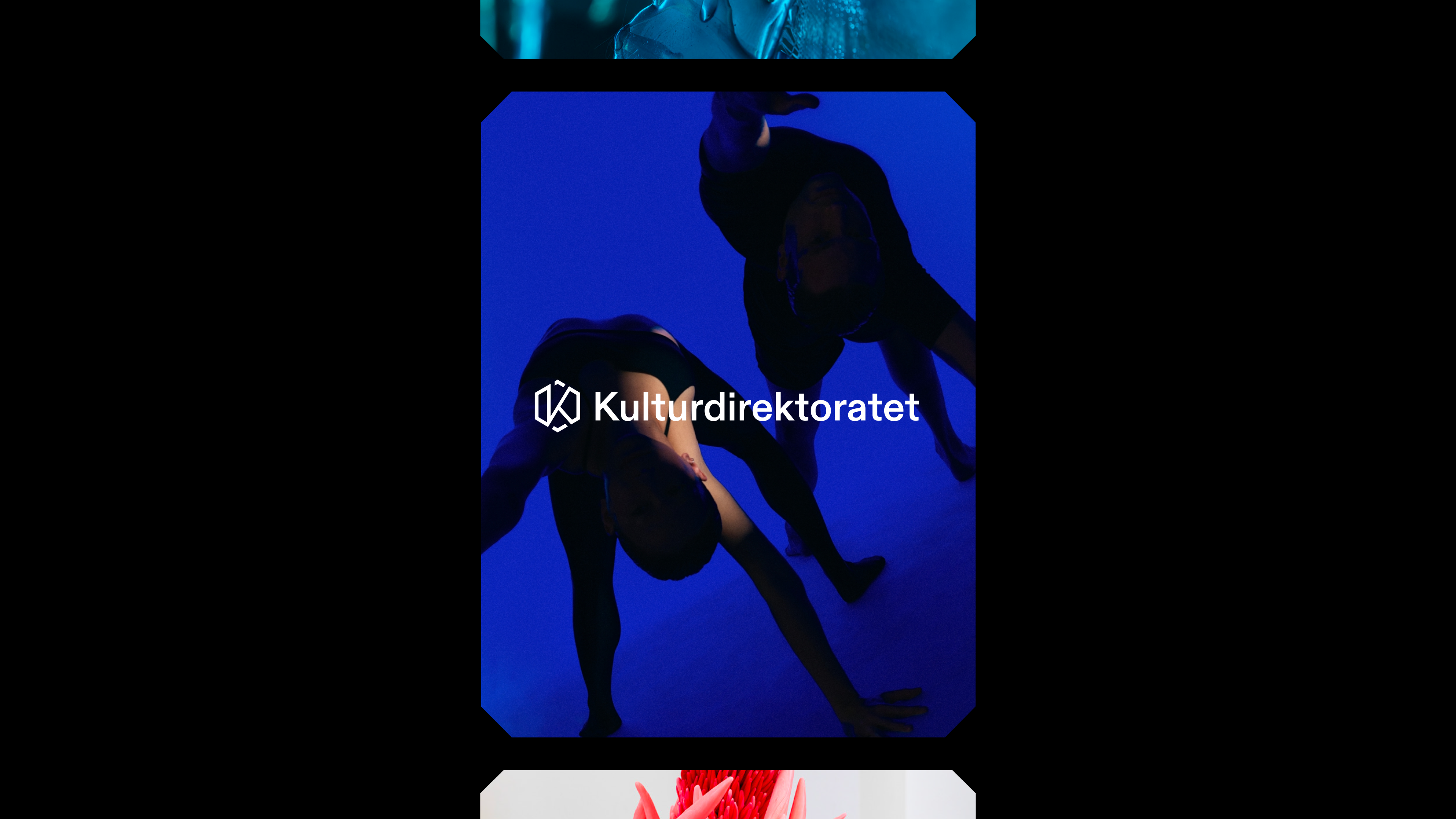 Kulturdirektoratet