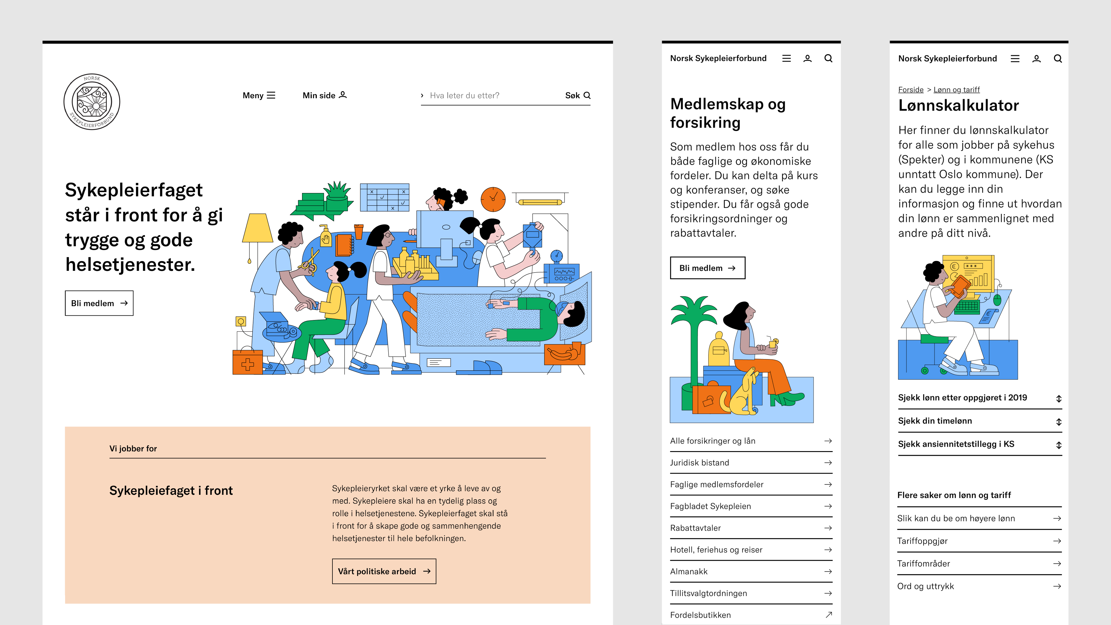 Nettsiden til NSF