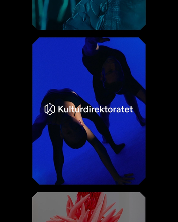 Maler for kulturdirektoratet