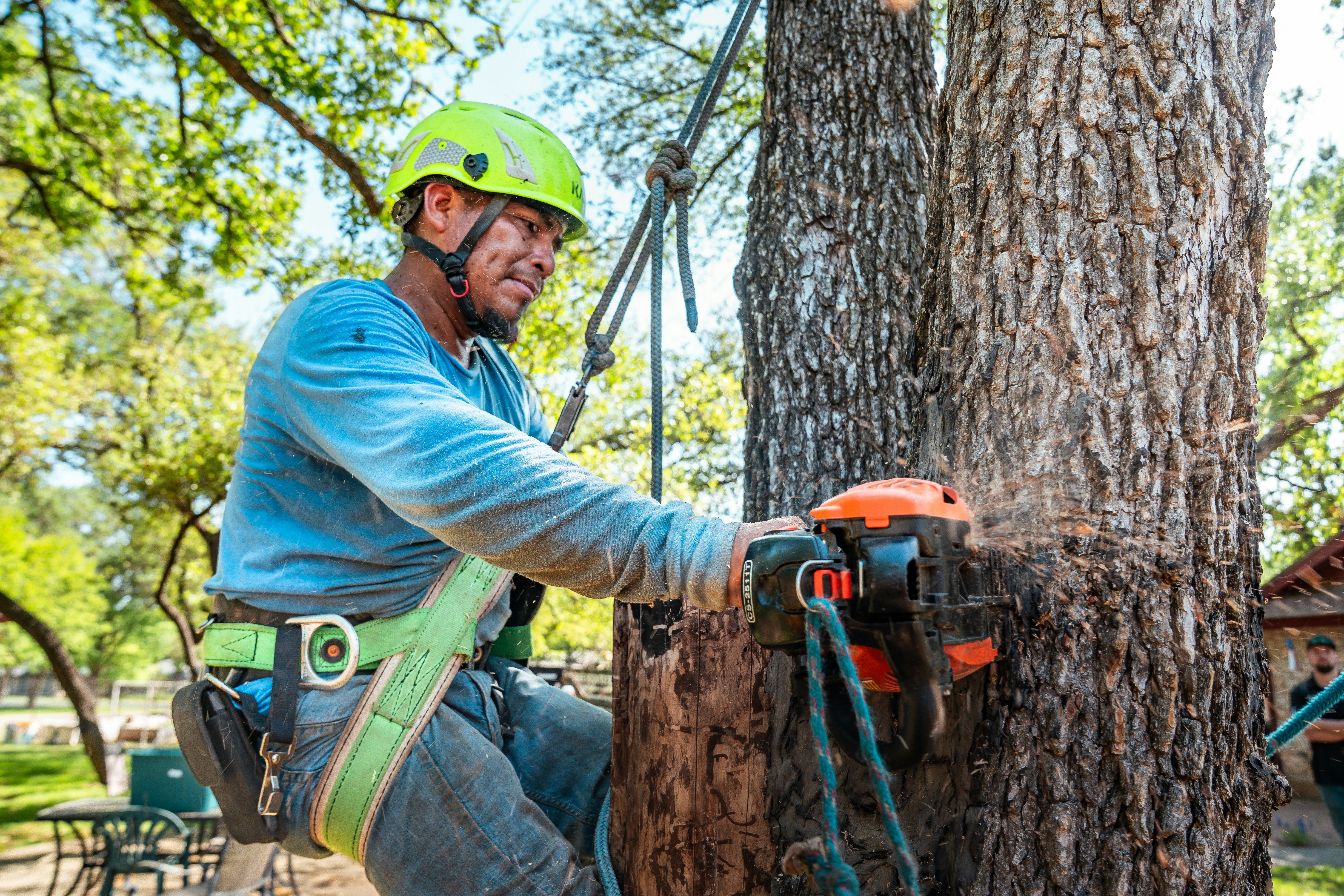  Tree Trimming & Removal