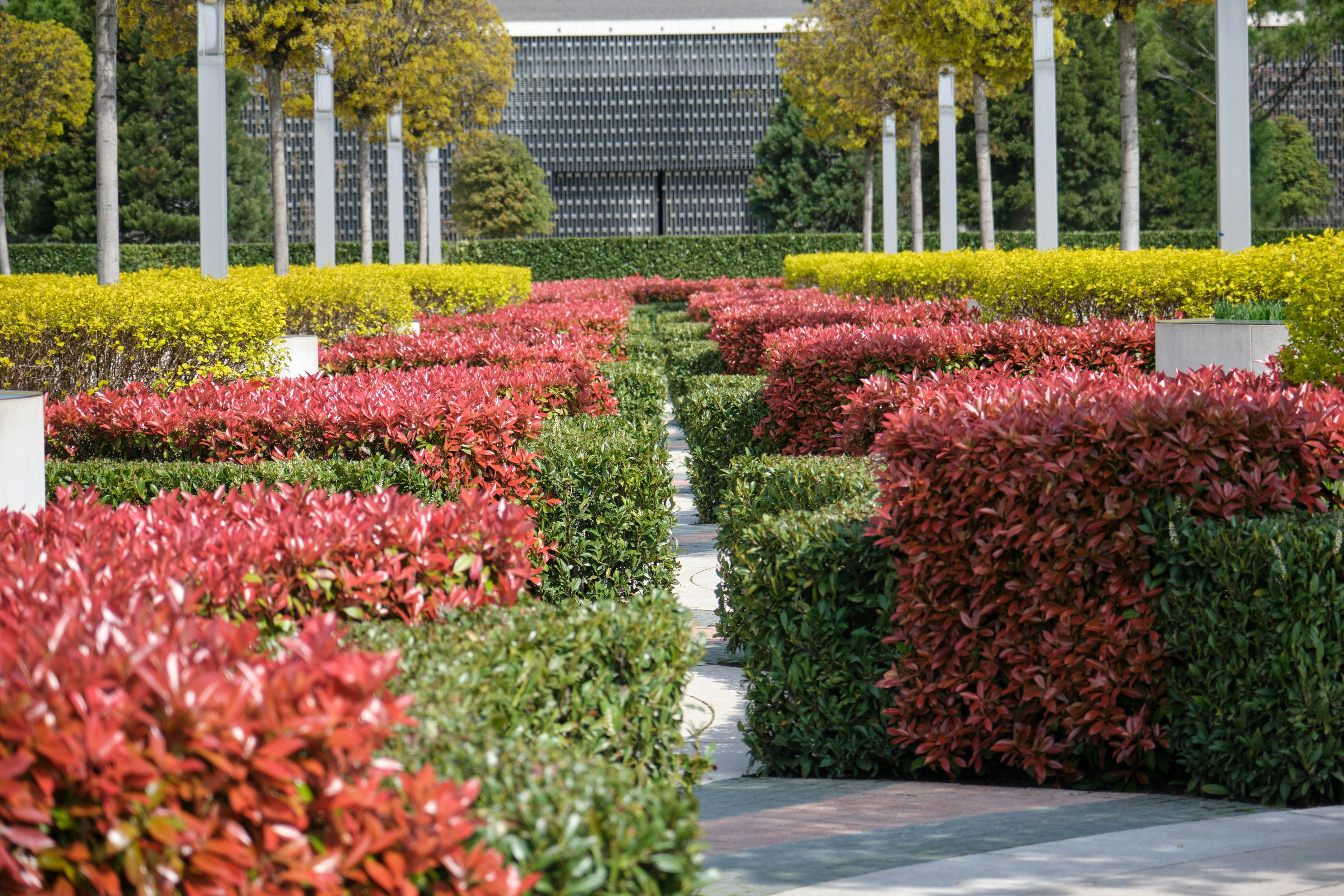 Commercial Landscape Maintenance