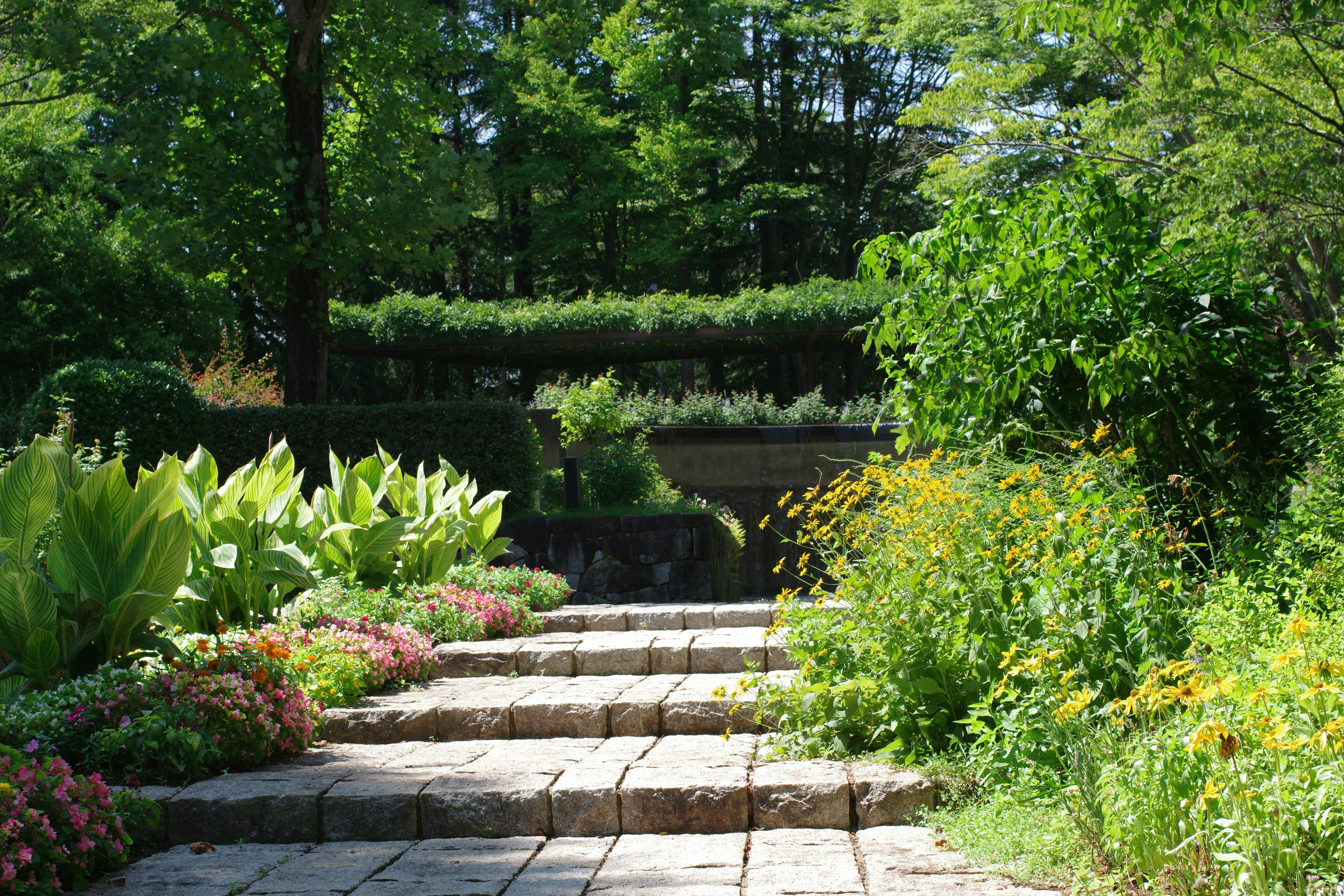 Landscape Design & Installation