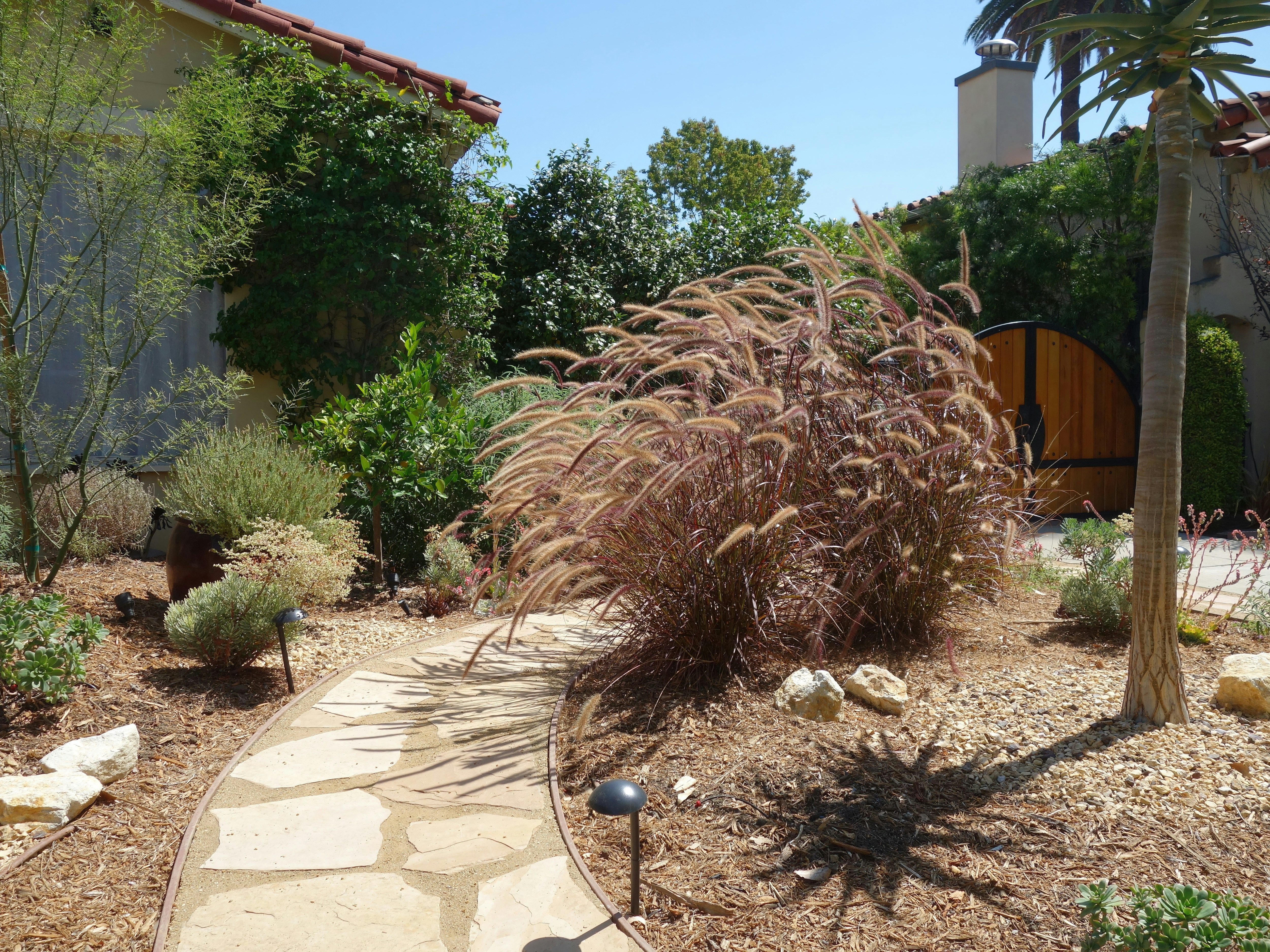  Drought-Tolerant & Native Landscaping