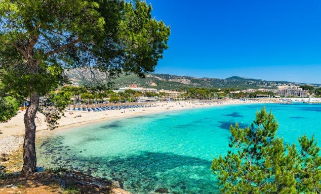 Panoramic view of the golden snady beach in Palma Nova