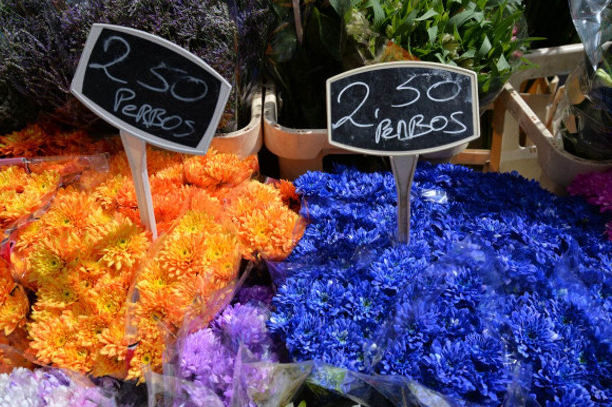 Orange and blue flowers at Amsterdam's Albert Market Holland