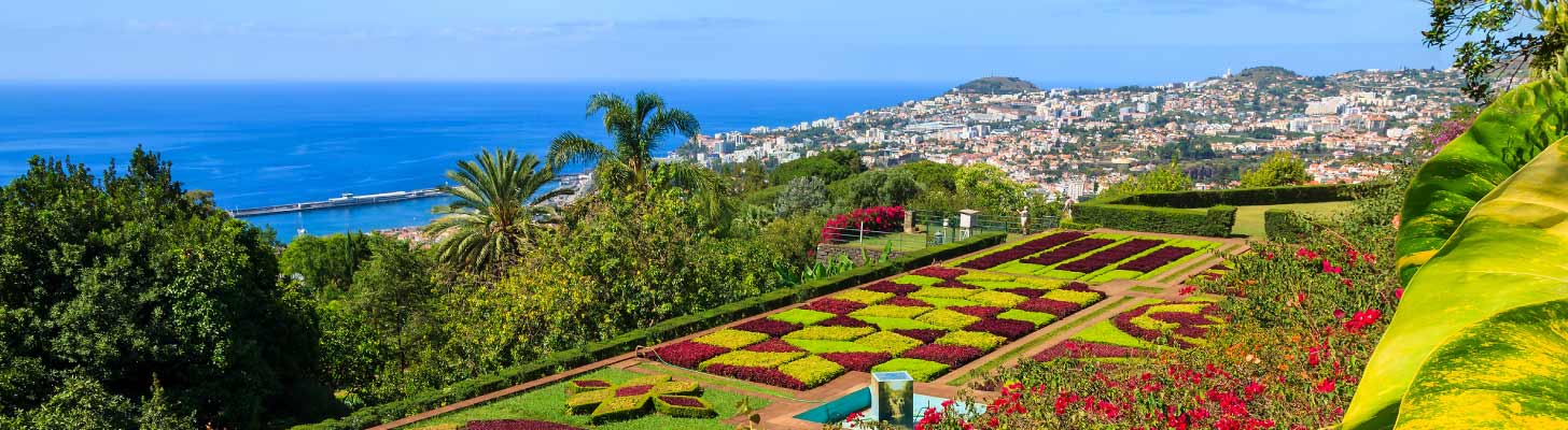 Botanical gardens in Funchal, Madeira