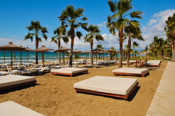 Beautiful beach in Marbella with luxury sunloungers and scattered palm trees