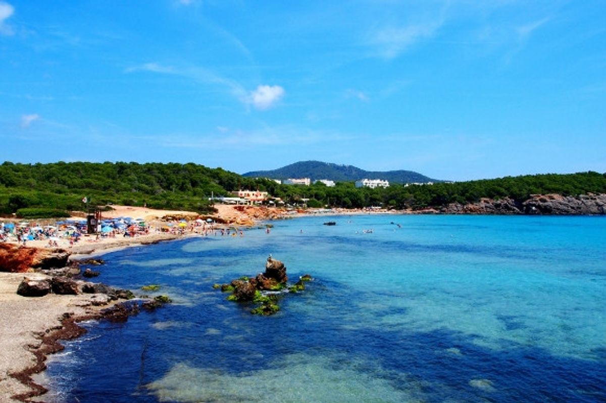 Playa es Cana sapphire waters and golden shore with dramatic lush green landscapes.