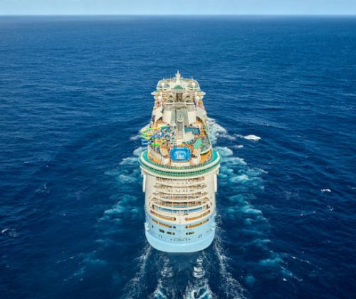 Freedom of the Seas sailing at sea