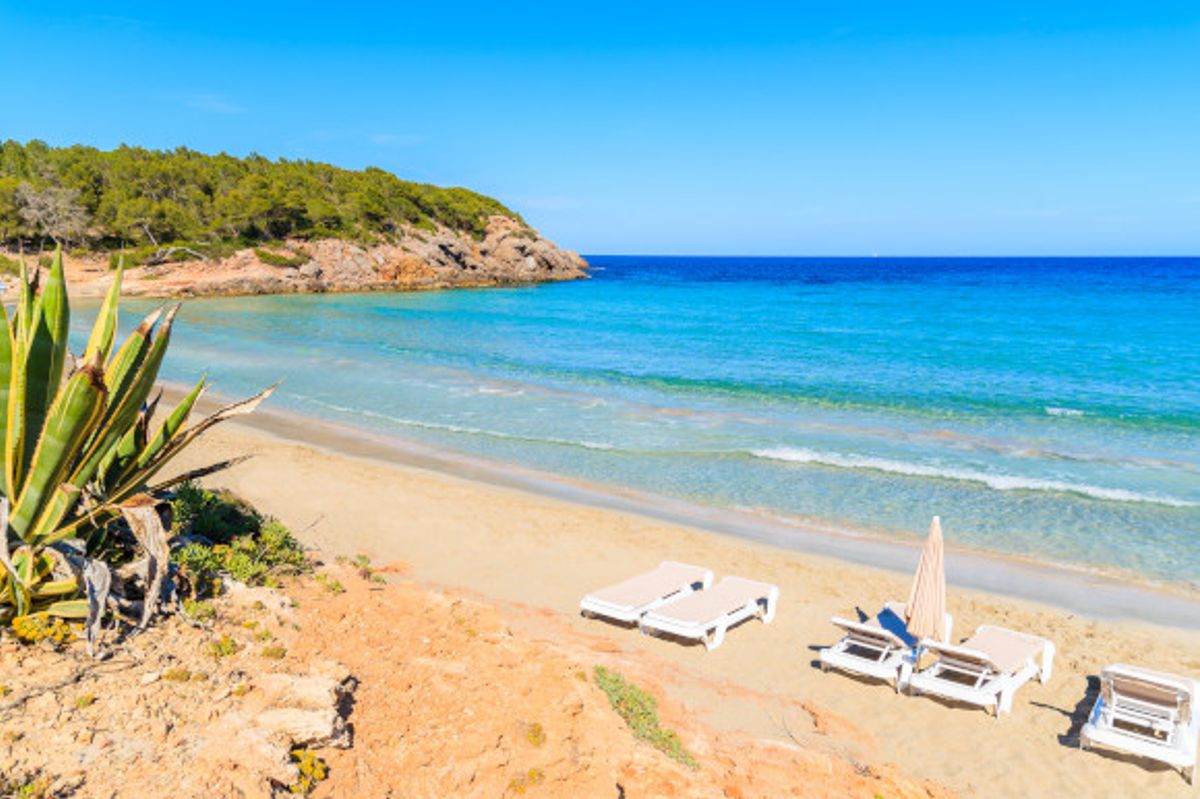 The popular Cala Nova Beach in Es cana with sunloungers sitting on the sand and glittering blue waters surrounded by green cliffs