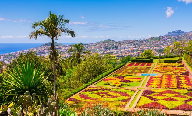 Botanical gardens in Funchal 