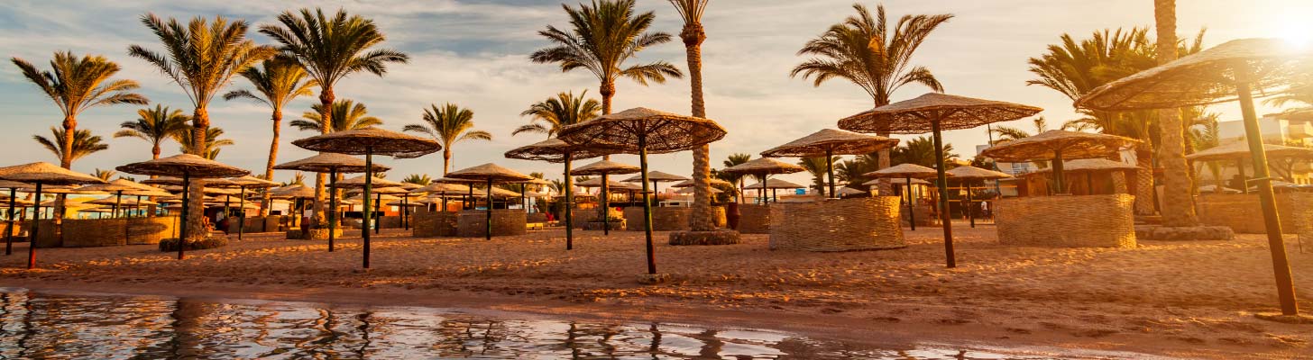 Umbrellas & palm trees on a sandy beach in Hurghada
