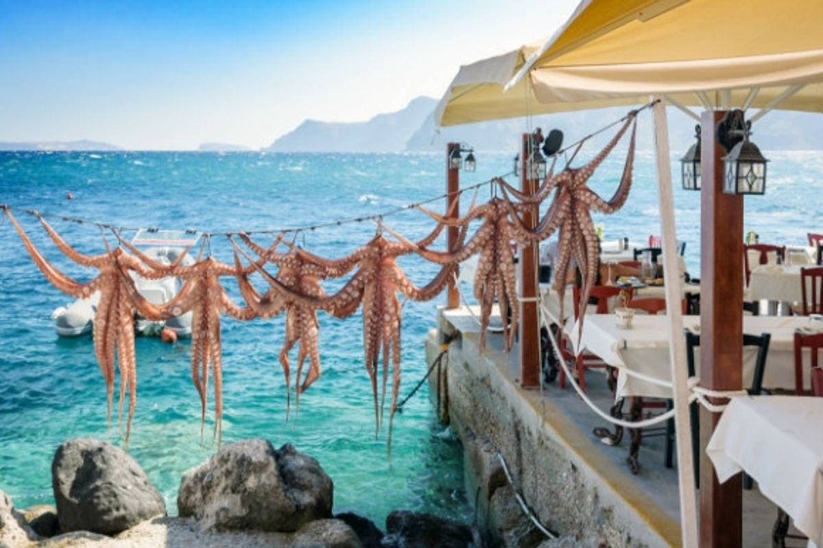 Looking out onto the sea, hang freshly caught octopus from a Greek restaurant.