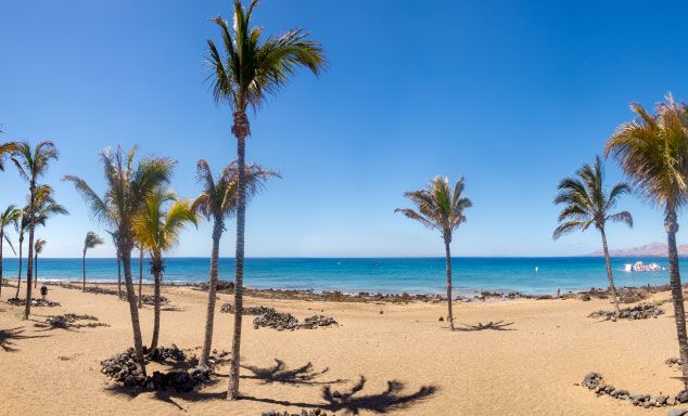 Palm trees on Puerto del Carmen beach in Lanzarote