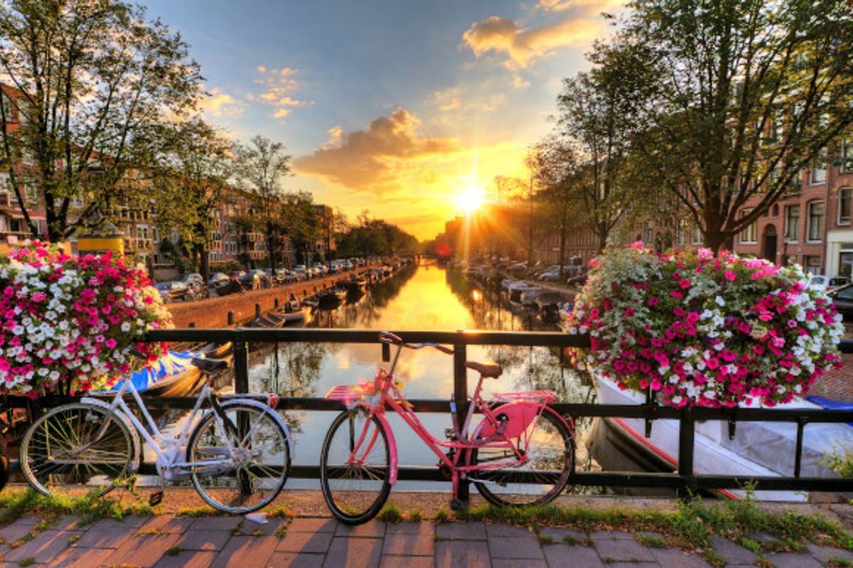 Colourful bikes lying along the canal front in Amsterdam at sunrise