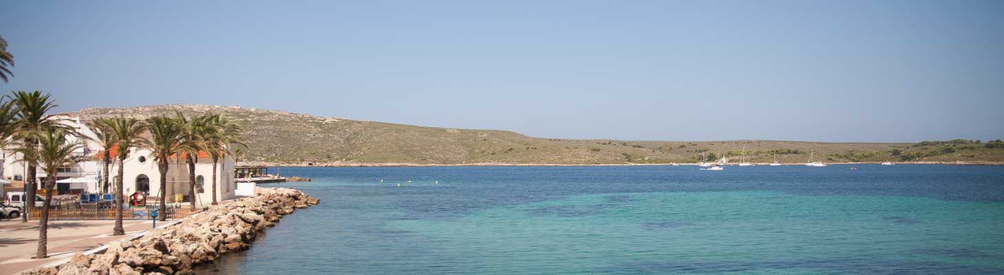 Palm trees line the promenade at Playa de Fornells, Menorca