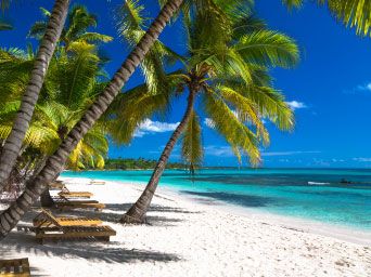 Palm trees along the shore in Dominican Republic