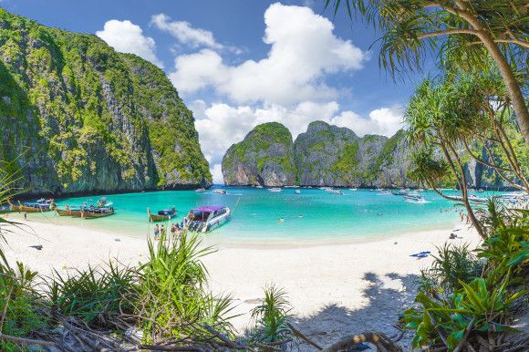 The famous Maya Bay in Thailand's popular Phi Phi Islands with long tail boats in the water and striking white sand