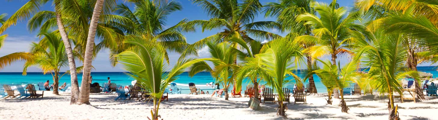 Palm trees on a white sandy beach in Dominican Republic