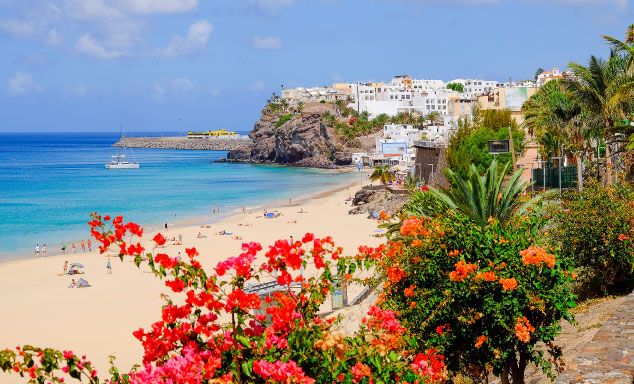 Flowers at the edge of the beach in Fuerteventura
