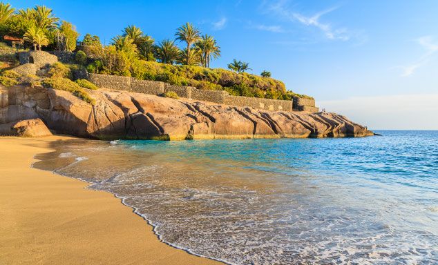 Palm trees line the shore in Costa Adeje