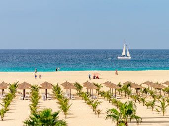 Beach umbrellas line a beach in Cape Verde