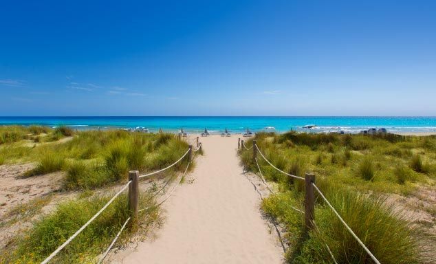 Path through the golden sands in Son Bou, Menorca