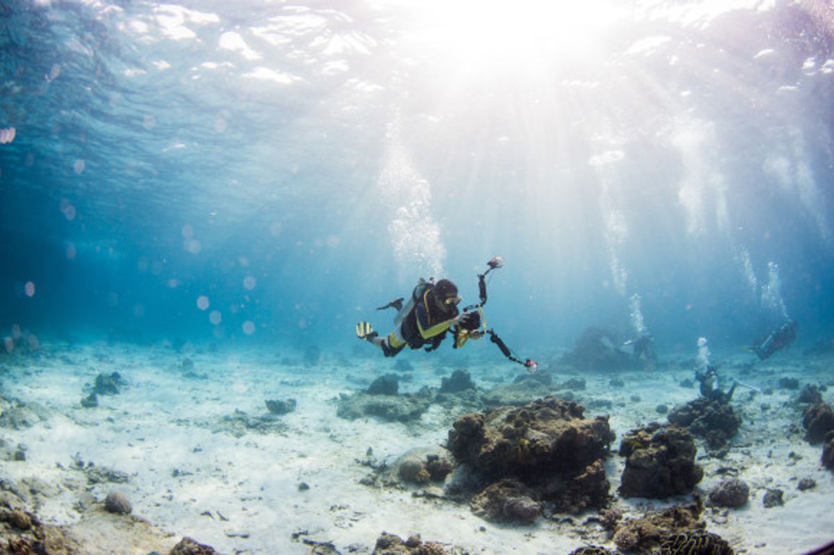 Expert diver exploring the sea bed of Turkey's coastline with a camera taking photos of the coral reefs