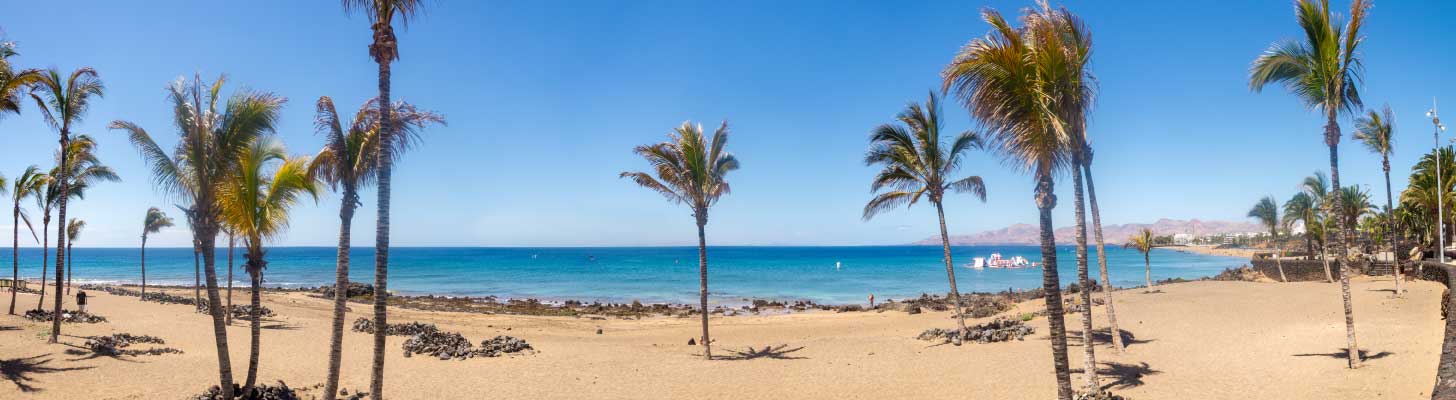 Palm trees on the golden sands of a beach in Puerto del Carmen