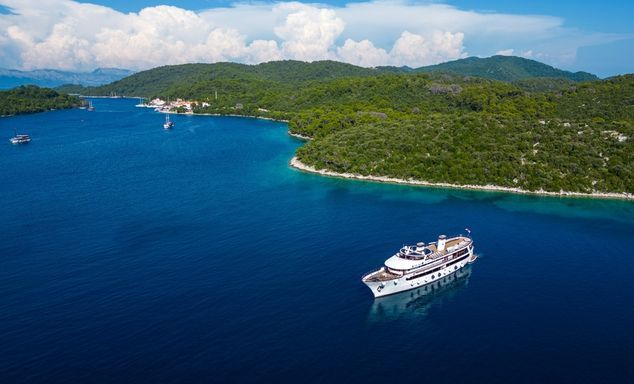 Aerial view of a white cruise ship on deep blue water beside a green, forested island, with a small harbour in the distance.