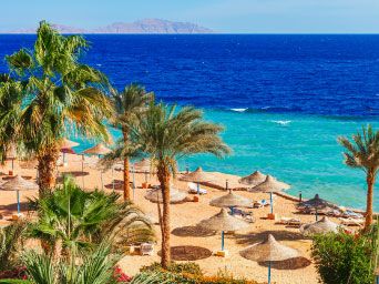 Palm trees & sun umbrellas on a beach in Egypt