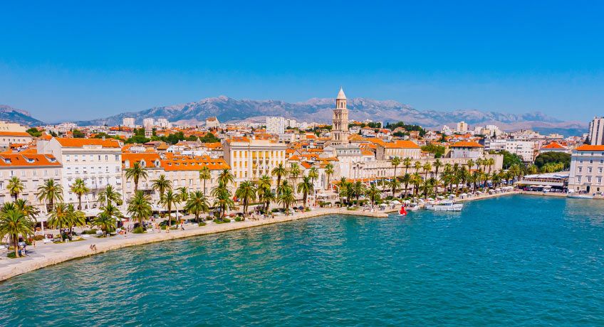 Palm trees line the shore in Split, Croatia
