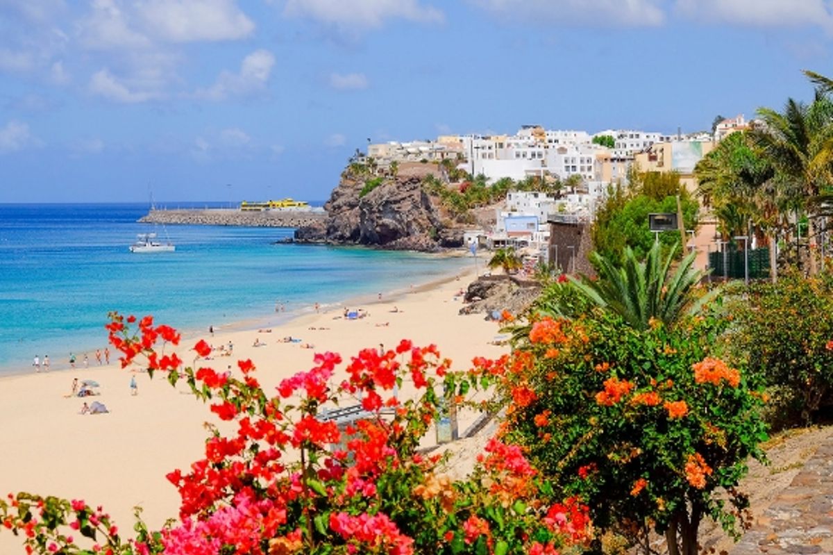 View of a beach in Fuerteventura with flowers backing the sand
