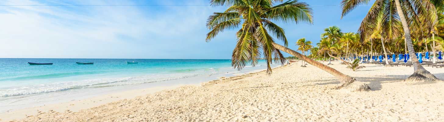 Palm trees & golden sands of a beach in Tulum, Mexico