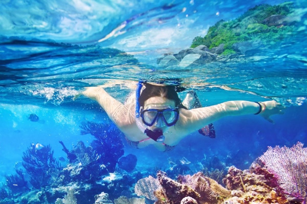 A girl snorkelling in the coral reefs among fishes and shells.