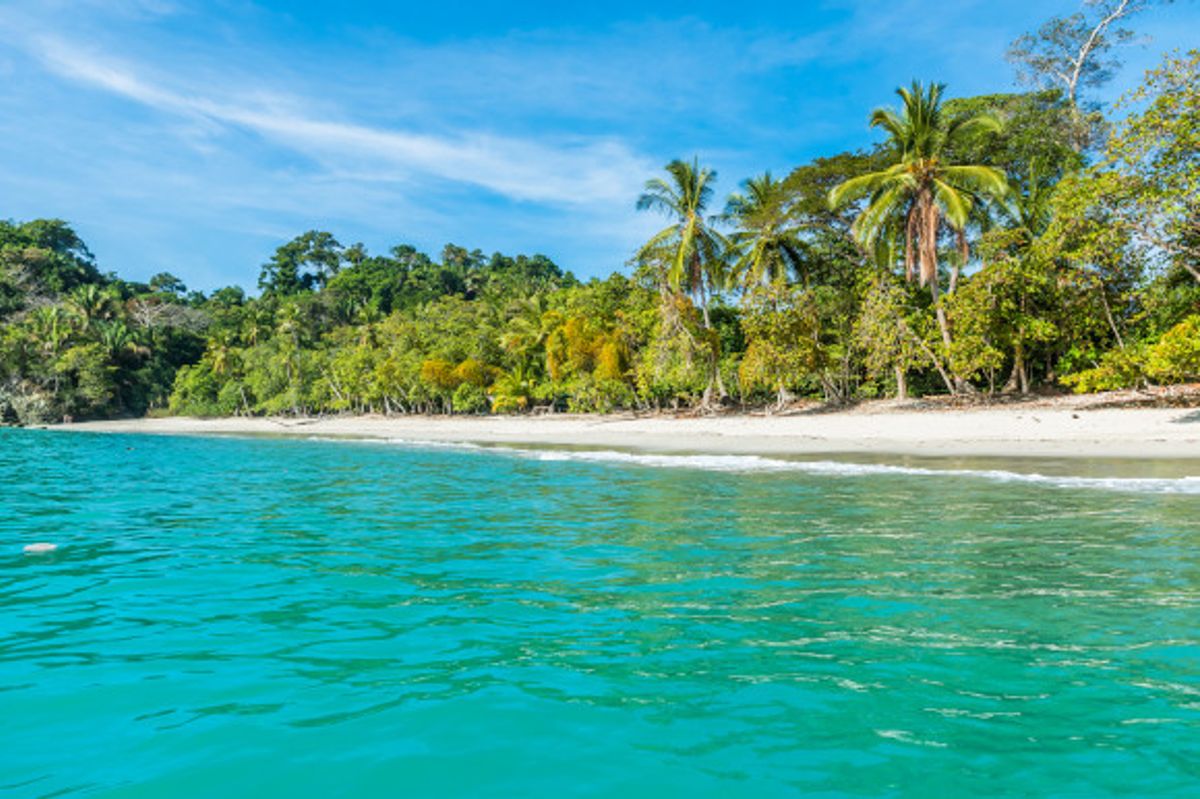 Manuel Antonio in Costa Rica filled with tropical palm trees and fronted by white, soft sand