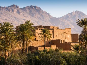 Traditional buildings surrounded by palm trees in Morocco