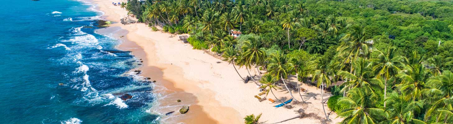 Palm trees on the golden sands of Tangalle beach in Sri Lanka