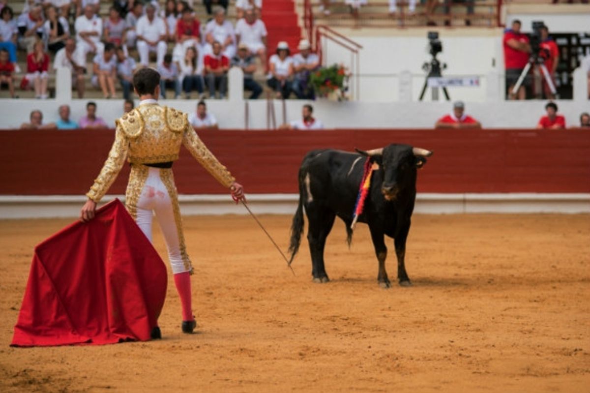 Man inside the ring participating in bullfighting in Spain with a red cape and audience.